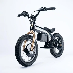 ROX  s motorom