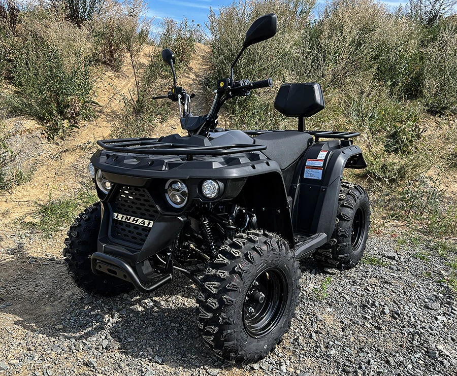 Linhai M210 2X4 EFI T3b